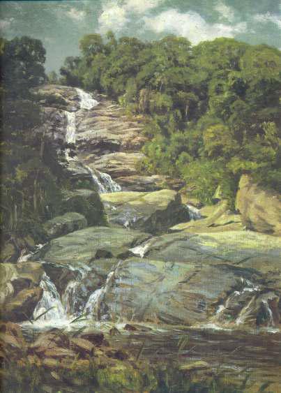 Small Cascade in Tijuca